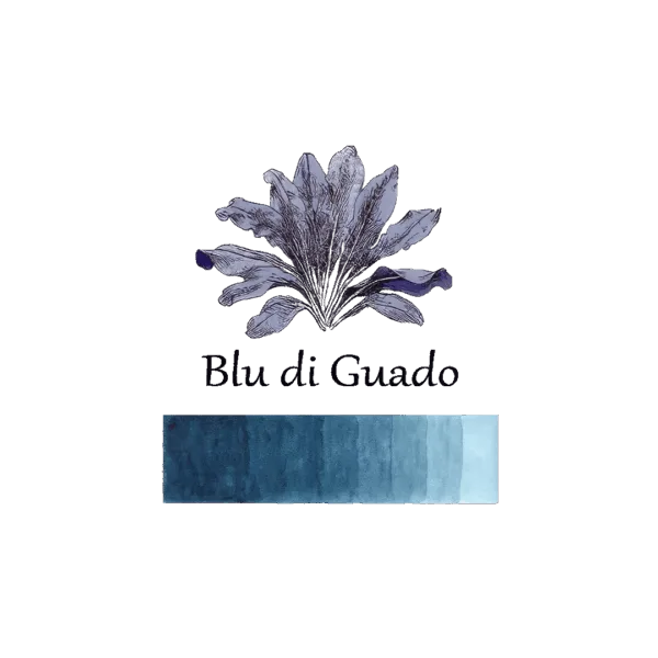 Fioritura di fiori di indaco con sfumature blu e viola.