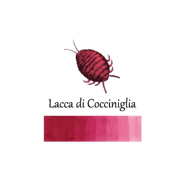 Pigmento naturale rosso cocciniglia per colorazioni artigianali.