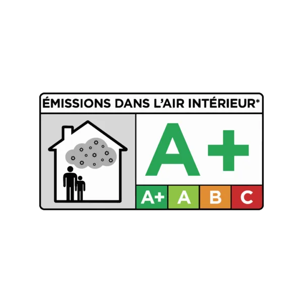 Etichetta di efficienza energetica A+ per emissioni di inquinanti in casa.
