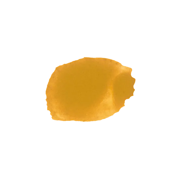 Ossidato giallo intenso, pigmento naturale per decorazioni e pittura.