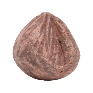 Sangue di Drago in Palle